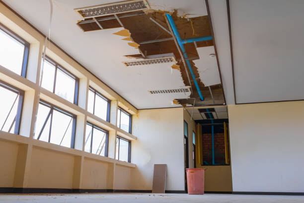 Best Flood damage cleanup  in Vandalia, IL