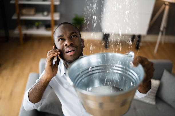  Vandalia, IL Water damage restoration Pros
