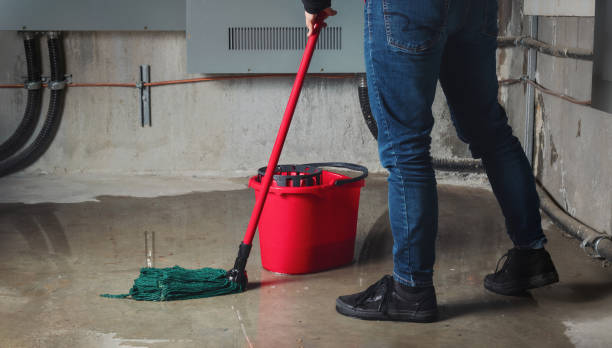 Best Flooded house restoration  in Vandalia, IL