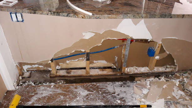 Best Mold removal after water damage  in Vandalia, IL