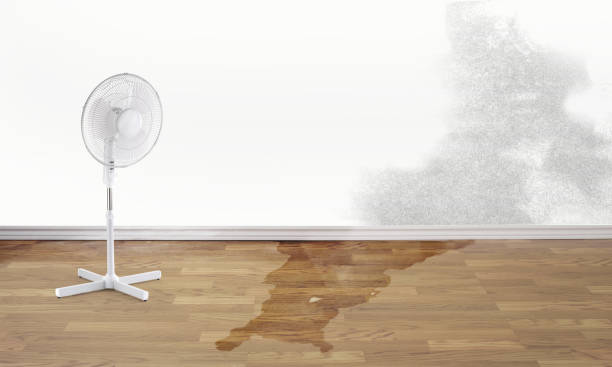 Best 24/7 water damage repair  in Vandalia, IL