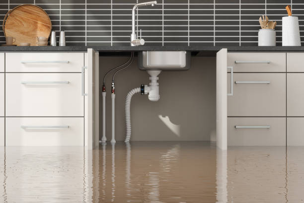 Best 24-hour water damage restoration  in Vandalia, IL