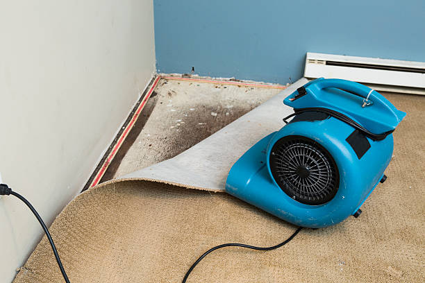 Best Flooded house restoration  in Vandalia, IL
